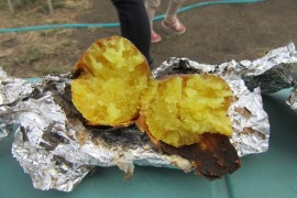 焼き芋パーティーをしたよ☆