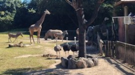 動物園に行ったよ!