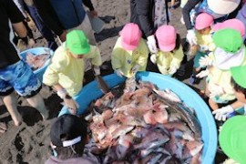 春の遠足